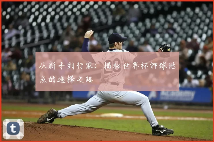 从新手到行家:揭秘世界杯押球地点的选择之路