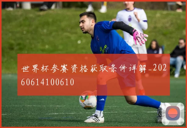 世界杯参赛资格获取条件详解_20260614100610