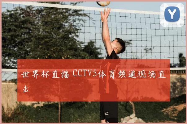 世界杯直播 CCTV5体育频道现场直击