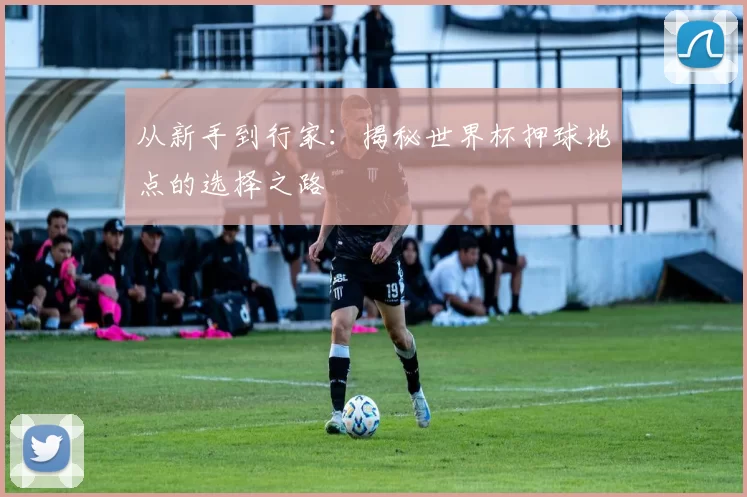 从新手到行家：揭秘世界杯押球地点的选择之路