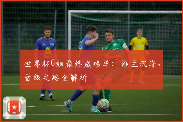 世界杯G组最终成绩单:谁主沉浮,晋级之路全解析