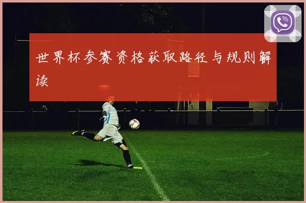 世界杯参赛资格获取路径与规则解读