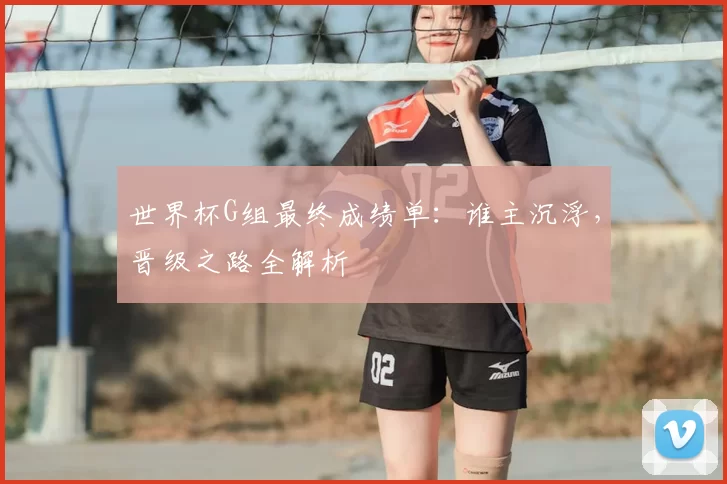 世界杯G组最终成绩单:谁主沉浮,晋级之路全解析