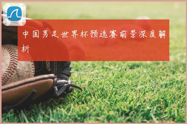 中国男足世界杯预选赛前景深度解析