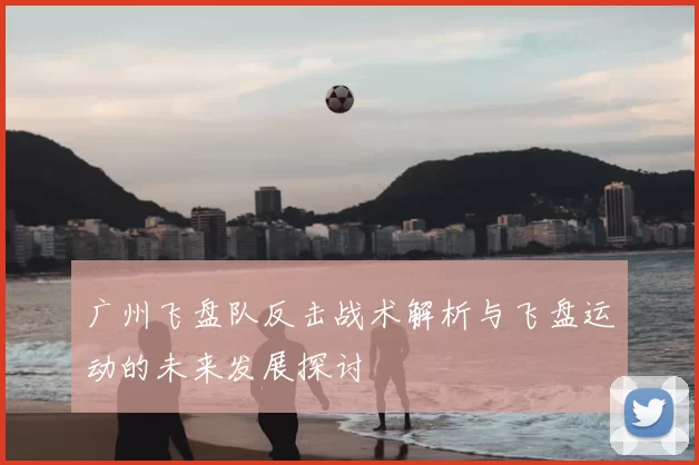 广州飞盘队反击战术解析与飞盘运动的未来发展探讨