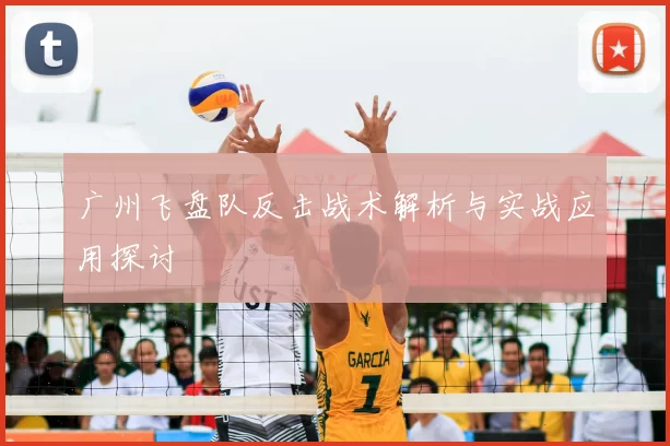 广州飞盘队反击战术解析与实战应用探讨